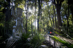 Te Apiti - Manawatu Gorge Track credit www.ManawatuNZ.co.nz