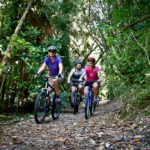 Cycling in the bush along side Manawatu river pathway