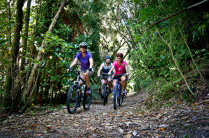 Cycling in the bush along side Manawatu river pathway