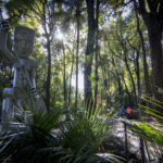 Te Apiti - Manawatu Gorge Track credit www.ManawatuNZ.co.nz