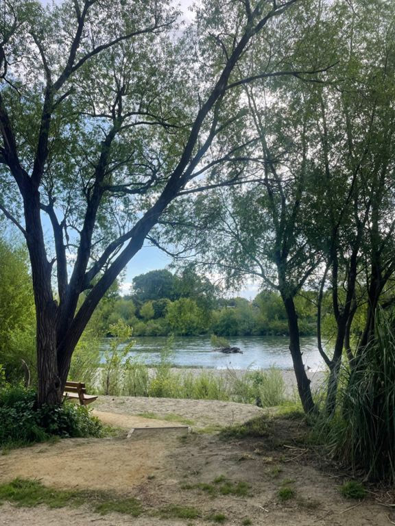 Fitzherbert, River and Awapuni Loop Walk